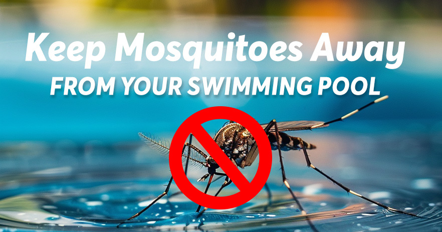 Những cách hiệu quả để đuổi muỗi tránh xa bể bơi của bạn